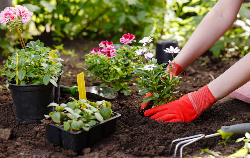 Garden-Maintenance-&-Clean-Up-Service