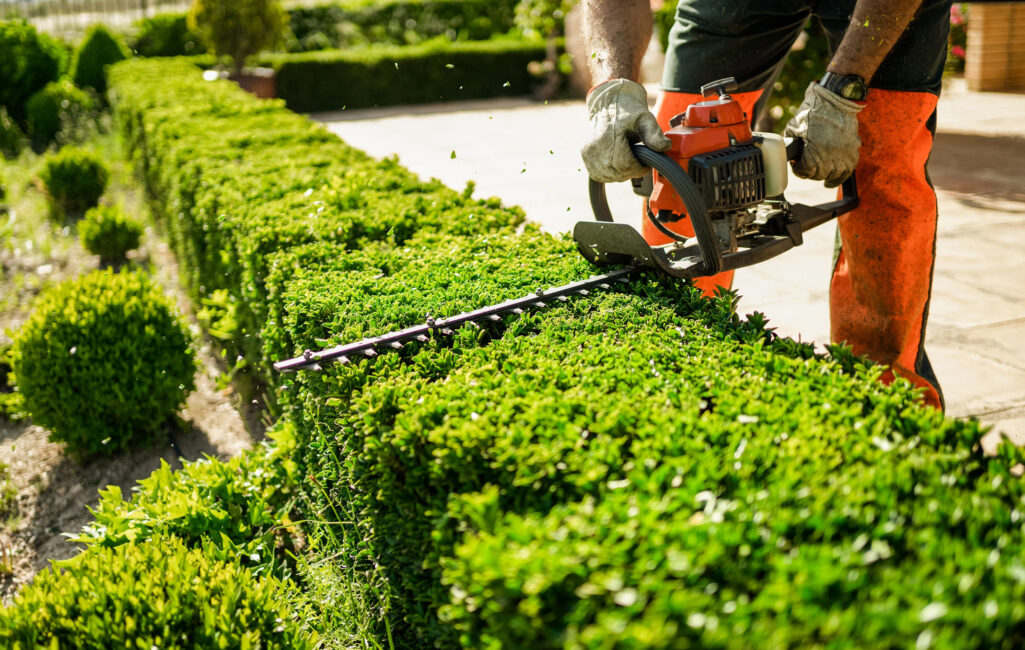 Hedge-Trimming-Services-in-West-Melbourne-(Image)