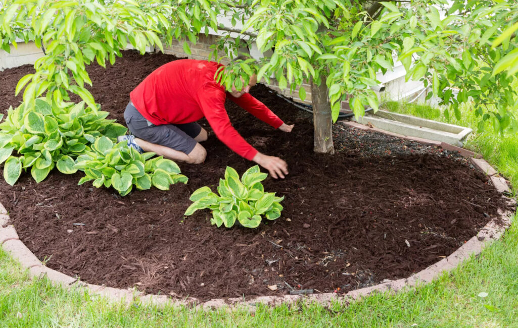 Mulching-Services-in-West-Melbourne