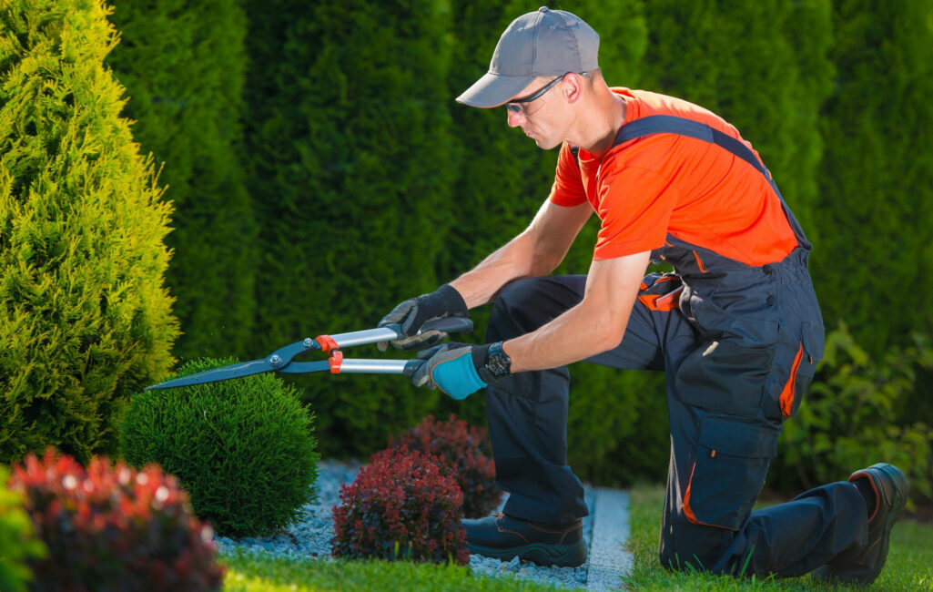 NDIS-Gardening-Services-in-Melbourne-West-(Image)