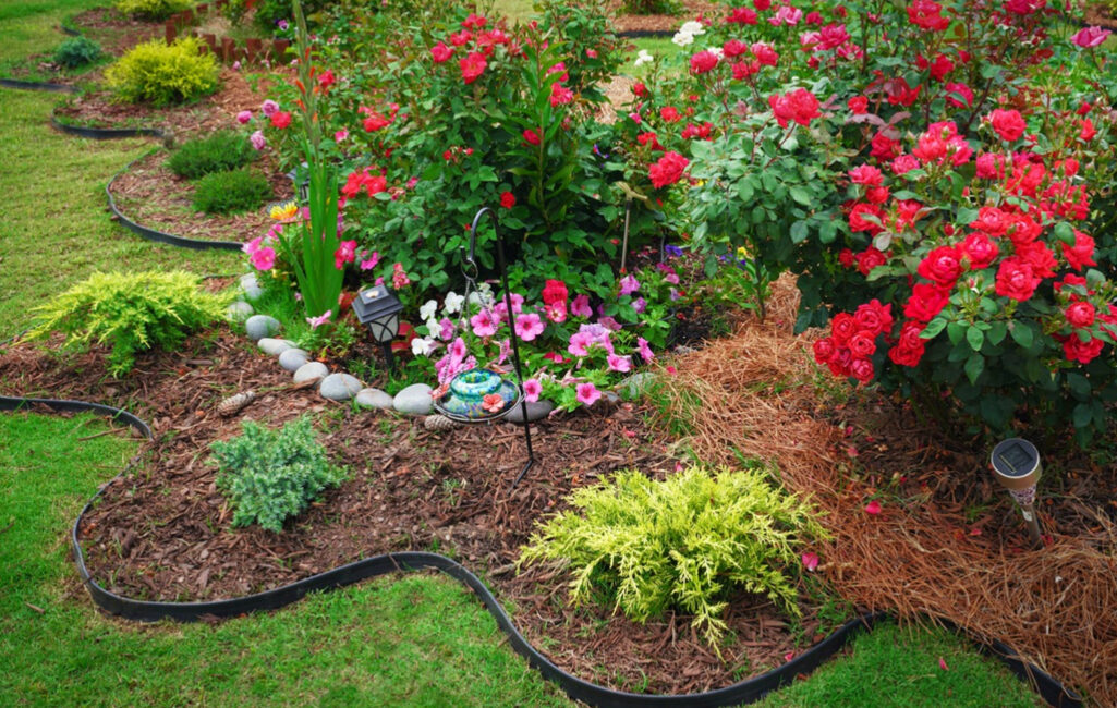 Garden-Landscaping-Services-in-West-Melbourne-(Ima